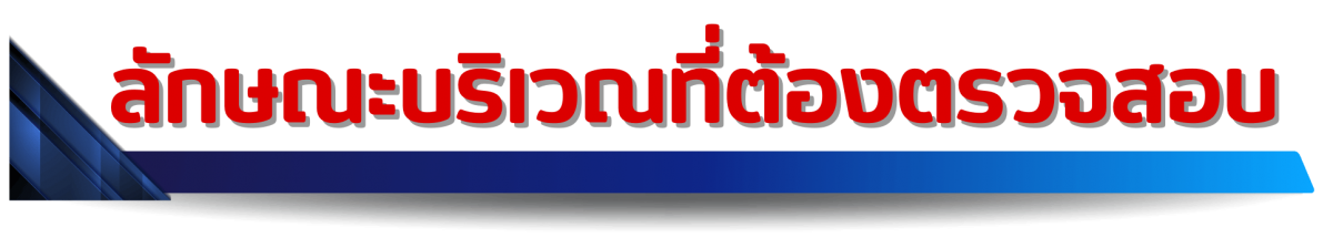 ลักษณะบริเวณที่ต้องตรวจสอบ